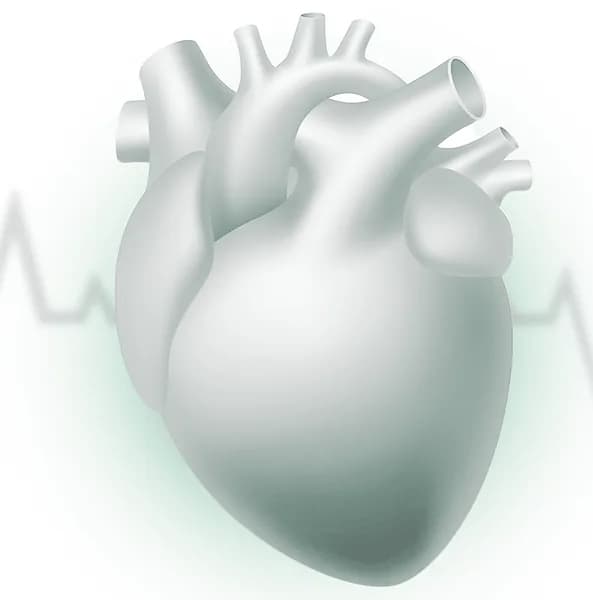 Ilustração do congresso de Cardiologia