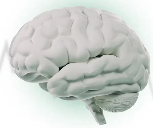 Ilustração do congresso de Neurologia